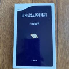 日本語と韓国語のサムネイル