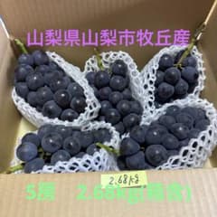 新鮮 巨峰 5房入りのサムネイル