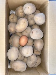 インカのめざめ箱詰め5kg Ｌ〜LLサイズのサムネイル