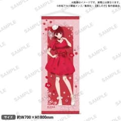 新品未開封 海瀬蒼羽 等身大タペストリー B2タペストリー | Shop at
