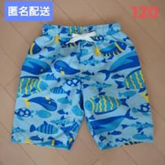 男の子 水着 120 さかな くじら ウミガメ 青 ブルー 水色 ハーフパンツのサムネイル