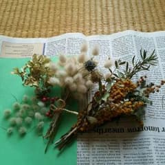 ドライフラワーのサムネイル