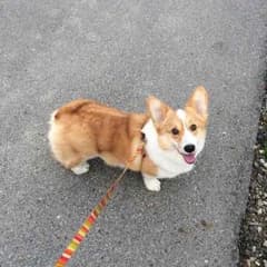 たかさん 様専用のサムネイル