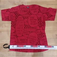 STUSSY　ステューシー　Tシャツのサムネイル