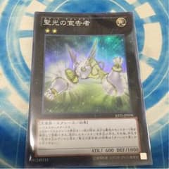 聖光の宣告者のサムネイル