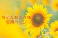ちゃんおに☆様専用ページのサムネイル