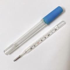 森下仁丹 JINTAN 水銀体温計 ケース付き 昭和レトロ - メルカリ
