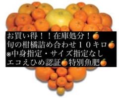 旬の柑橘類詰め合わせ 10キロ ラスト二箱のサムネイル