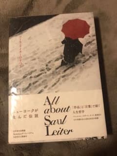 ソール・ライターのすべてのサムネイル