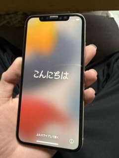 Apple iPhone X 本体のサムネイル