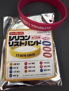 SoftBank HAWKS シークレットシリコンリストバンド 柳田悠岐