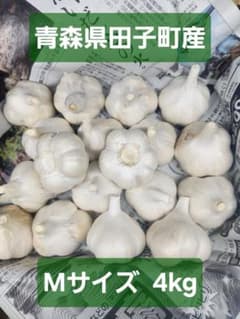 青森県田子町産 にんにく Mサイズ 4kg - メルカリ