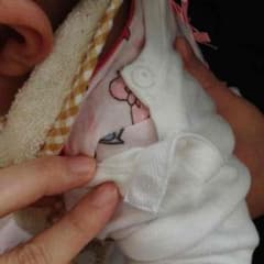 あさりんごさん確認用のサムネイル