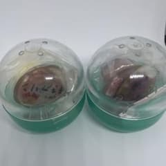 ミニチュア プリン水系スクイーズカプセルトイ 2個セット　新品未使用未開封　レアのサムネイル