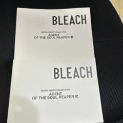 非売品　BLEACH　設定資料集　2冊セット　DVD初回特典のサムネイル