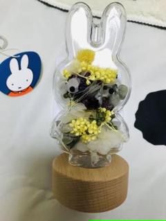 新品未使用箱有り◆スタディオクリップ 封入オブジェ ミッフィー スタディオクリップ ディックブルーナ コラボ ミッフィー封入