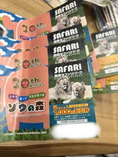 那須サファリパーク 入園特別割引券 複数枚セットのサムネイル