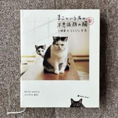 まこという名の不思議顔の猫 三姉妹のラララな生活のサムネイル