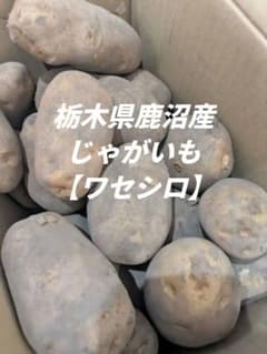 ワセシロ　じゃがいものサムネイル