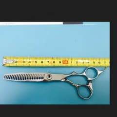 ハヤシシザーのサムネイル