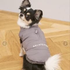 ジェラートピケ 犬用ダウン 中綿ベスト グレー Sサイズ - メルカリ