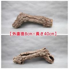 W606 ポルトガル産 キャノンコルク コルク樹皮 コルク板　バージンコルク W680 ポルトガル産 キャノンコルク コルク樹皮 コルク板 バージン