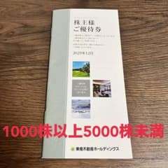 東急不動産ホールディングス 株主優待券 1000株以上5000株未満のサムネイル