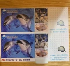 新江ノ島水族館 ご招待券 2枚セット ペアチケット 有効期限9月30日 えの水のサムネイル