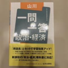 山川一問一答 政治・経済のサムネイル