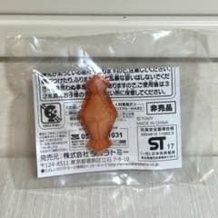 【即購入OK】ポケモン Zクリスタル ソルガレオZ リーリエVer