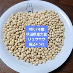 大豆(リュウホウ)箱込4.5㎏