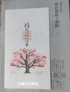 川越氷川神社　春の切札 誉桜　令和８年　一粒万倍日拝受