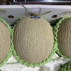 熊本県産 温室メロン 2L 1玉のサムネイル