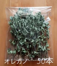 ドライ オレガノ 50本 dry oreganoのサムネイル