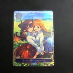 土日限定価格】遥かなる絆・アン&グレア リーダー - メルカリ