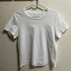 alexanderwang.t パフロゴ シュランケンTシャツMサイズ　ホワイトのサムネイル