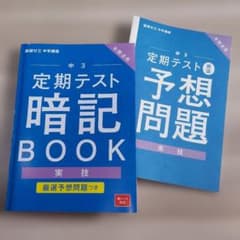 ともちん様 リクエスト 2点 まとめ商品のサムネイル