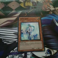 遊戯王 エフェクトヴェーラー 韓国版のサムネイル