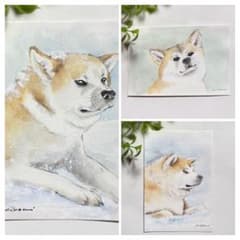 秋田犬の水彩画 3点セット - メルカリ