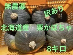 無農薬　北海道産　訳あり栗かぼちゃ　8キロのサムネイル