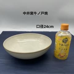 鳥取民藝 中井窯 牛ノ戸焼 深皿 深鉢 陶器 - メルカリ