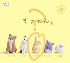 Thumbnail of ✨新品　きょとん。うさぎ 動物フィギュア
