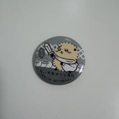 Chiikawa Kura Sushi Can Badge - Otter