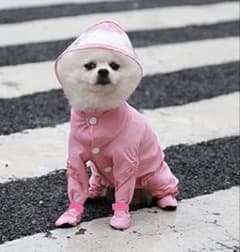 Thumbnail of 犬用　レインコート　カッパ