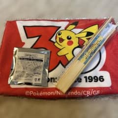 カープオリジナルポケモン　ピンバッジ・ウエアラグ・扇子3点セット 広島東洋カープ オリジナルポケモン ピンバッジ・ウエアラグ・扇子3点