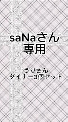 saNaさん専用 うりさん ダイナー3個セットのサムネイル