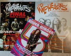 the WiLDHEARTS フライヤーセットのサムネイル