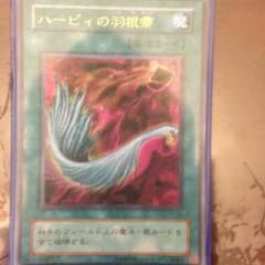 ハーピィの羽根箒のサムネイル