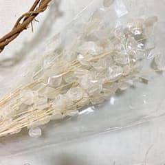 ドライフラワー  ルナリア　※専用出品のサムネイル