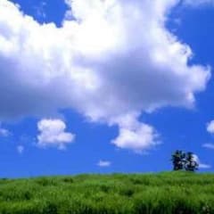 えびっち様専用★のサムネイル